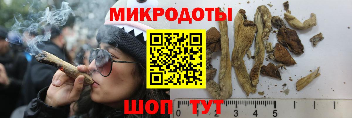Псилоцибиновые грибы прущие грибы  Вход с VPN  Кудымкар 